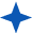 Star decoration