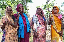 Community-Based Plantation Project in Southern Rajasthan